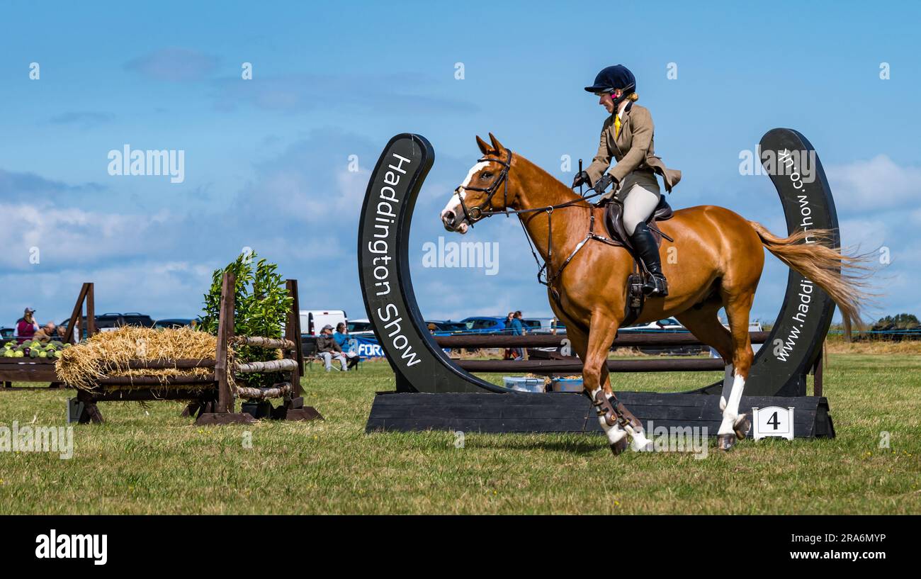 East Lothian, Schottland, Vereinigtes Königreich, 1. Juli 2023. Haddington Agricultural Show: Die Veranstaltung findet seit 1804 statt. Die Teilnehmer genossen einen sonnigen Tag. Im Bild: Eine der Pferdeshows-Runden mit einer Frau, die auf einem Pferd reitet. Kredit: Sally Anderson/Alamy Live News Stockfoto