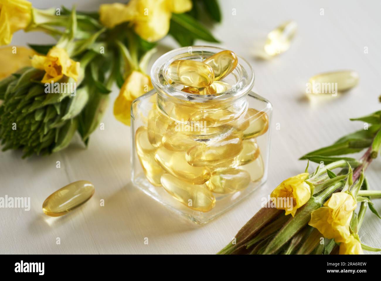 Abendliche Primrose-Ol-Kapseln in einer Glasflasche mit frischen Oenothera-Biennis-Blüten. Nahrungsergänzung. Stockfoto