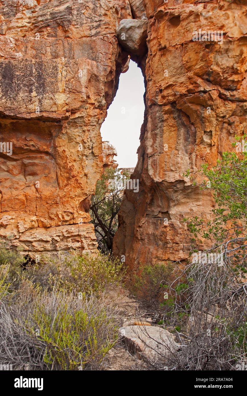 Felsformationen Cederberg 12948 Stockfoto