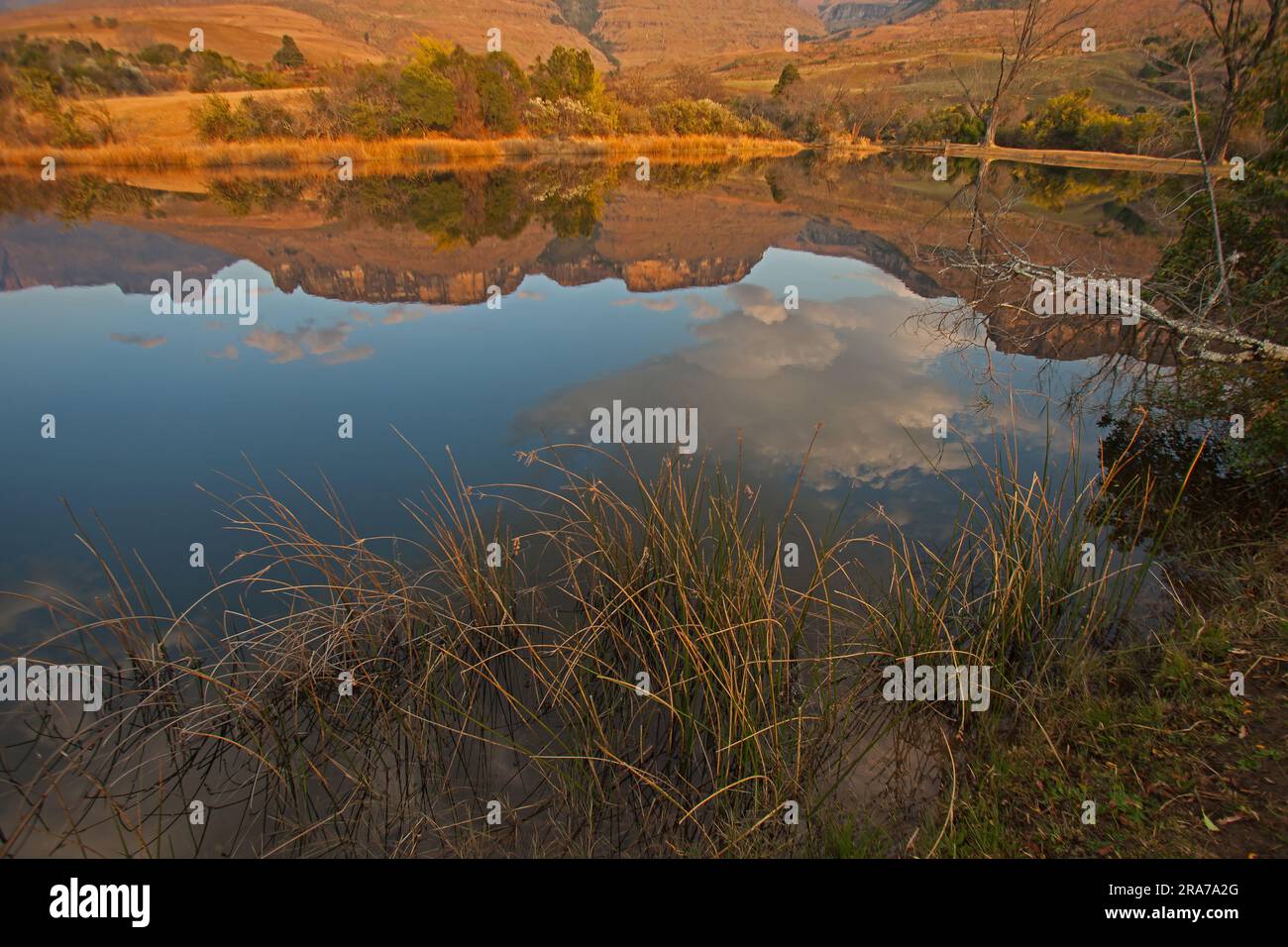 Malerische Reflexionen in einem Drakensberger See 15548 Stockfoto