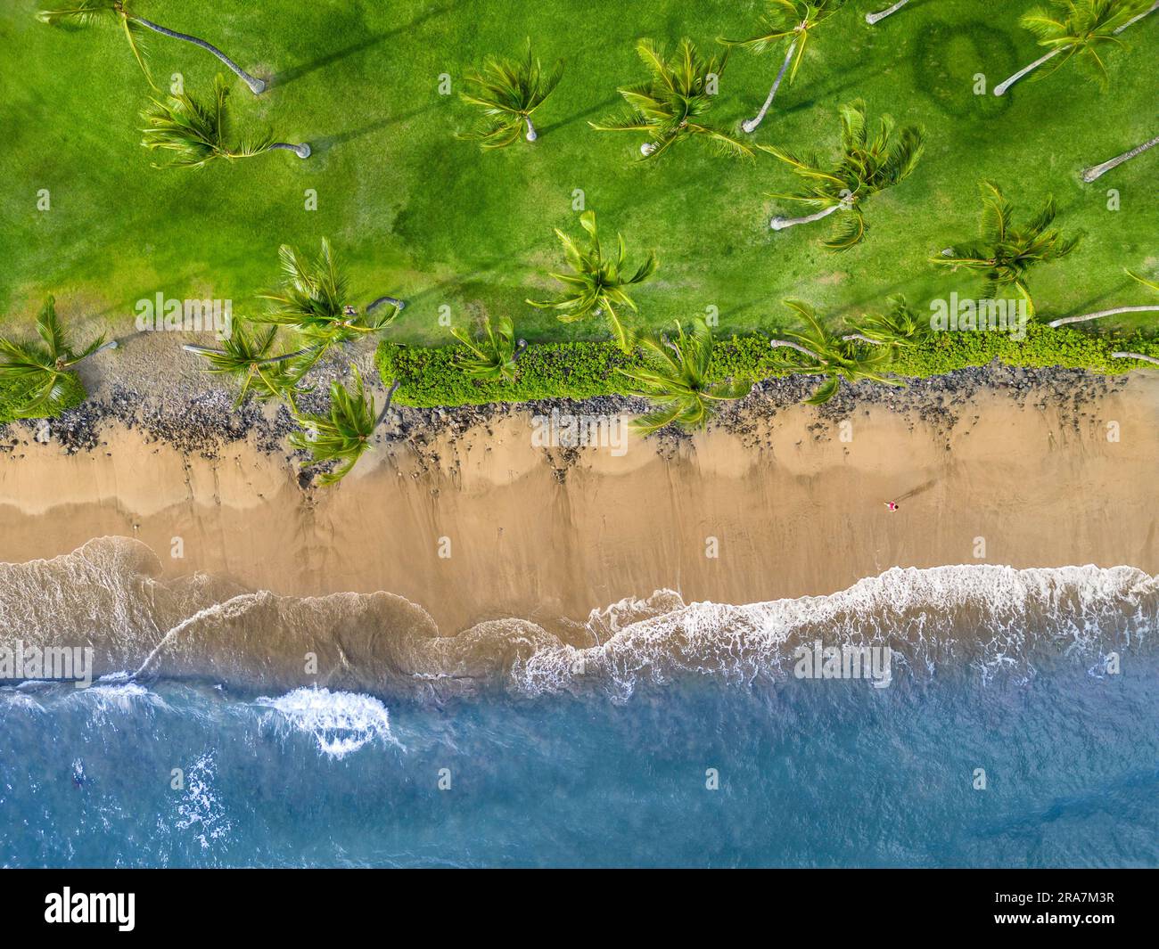 Luftaufnahme einer Frau (MR), die am späten Nachmittag an einem Strand neben Palmen in West Maui, Hawaii, USA spaziert. Stockfoto