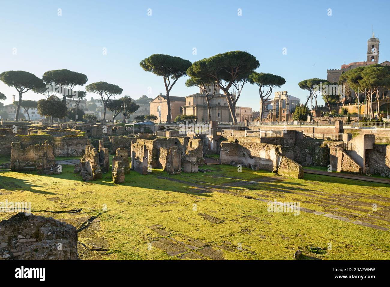 Ruinen im Forum Romanum in Rom, Italien. Stockfoto