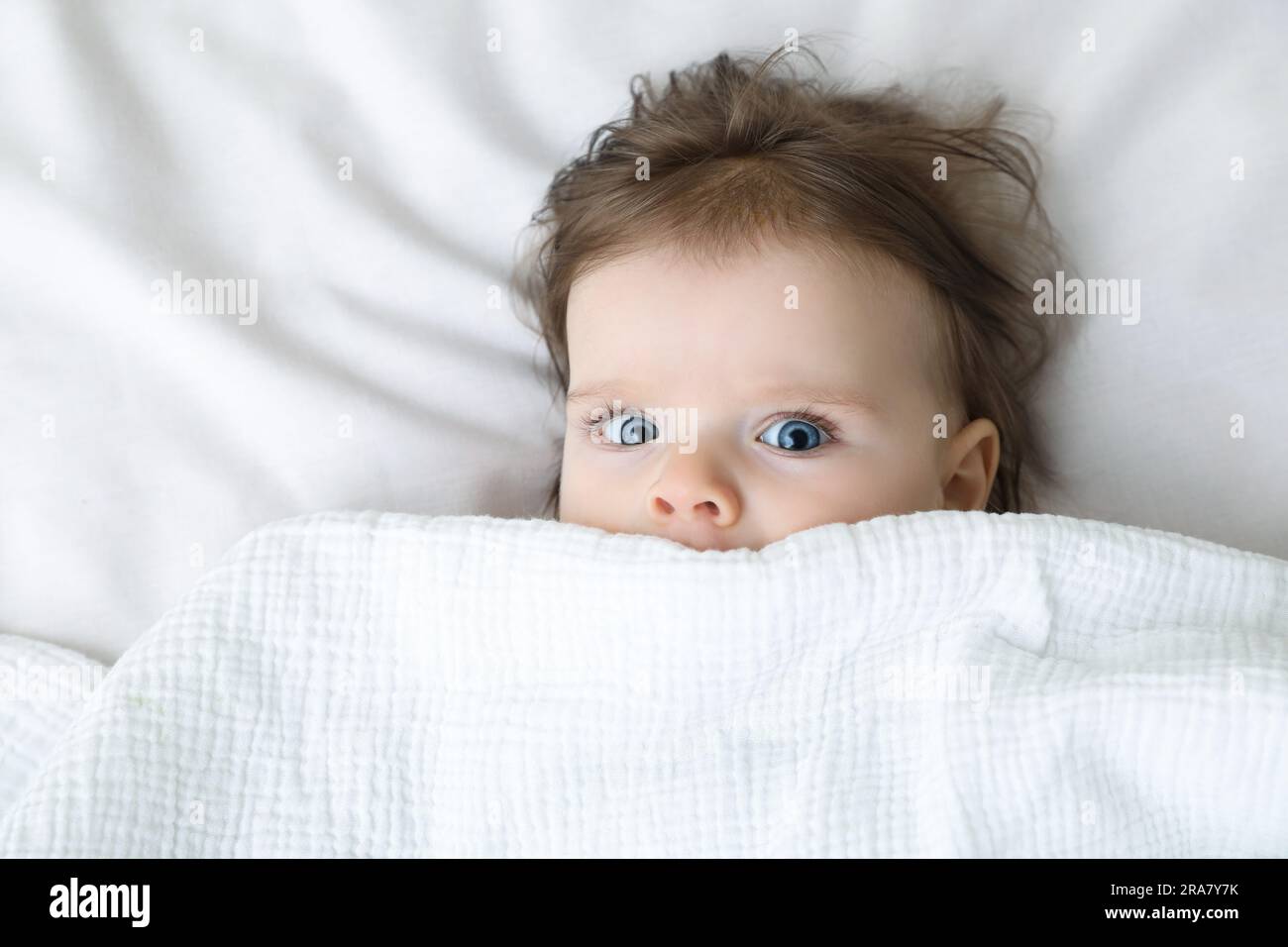 Süßes kleines Baby, das unter einer Decke auf einem weichen Bett liegt, Blick von oben Stockfoto