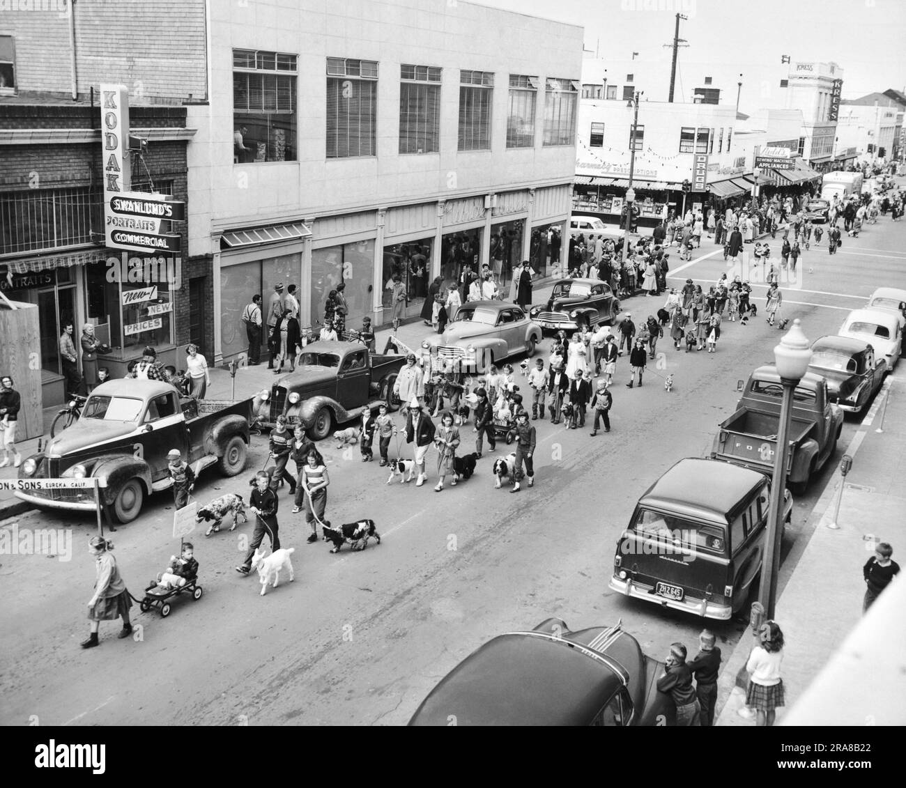 Eureka, Kalifornien: ca. 1954 Eine Kleinstadtparade durch Euraka mit Ziegen, Hunden, Wagen und Kindern. Stockfoto