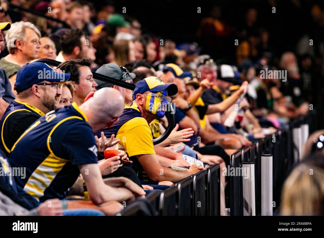 Edmonton, Kanada. 29. Juni 2023. Edmonton Fan mit seinem Gesicht in den Farben des Teams, die während des 2023 stattfindenden CEBL-Spiels gegen die Scarborough Shooting Stars zu sehen waren. Endstand: Scarborough Shooting Stars 91:89 Edmonton Stingers Credit: SOPA Images Limited/Alamy Live News Stockfoto