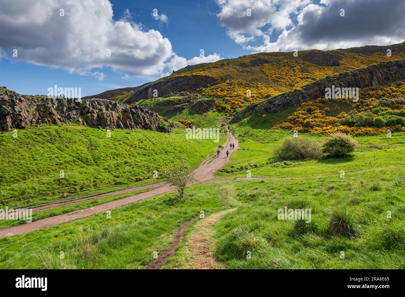 Schottische Lowlands-Landschaft mit Wanderweg zum Arthur's Seat im Holyrood Park im Frühling in Edinburgh, Schottland, Großbritannien. Stockfoto