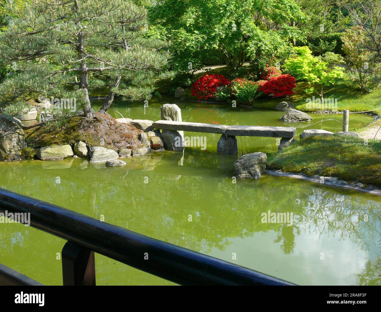 Teich, japanischer Bonsai-Garten in Schwilowsee, OT. Ferch, Brandenburg  Stockfotografie - Alamy
