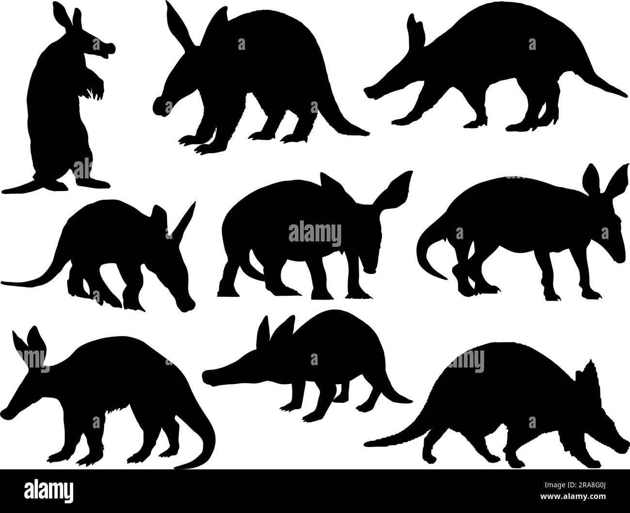 Set von Aardvark Silhouette Vector Art auf weißem Hintergrund Wild Animal Stock Vektor