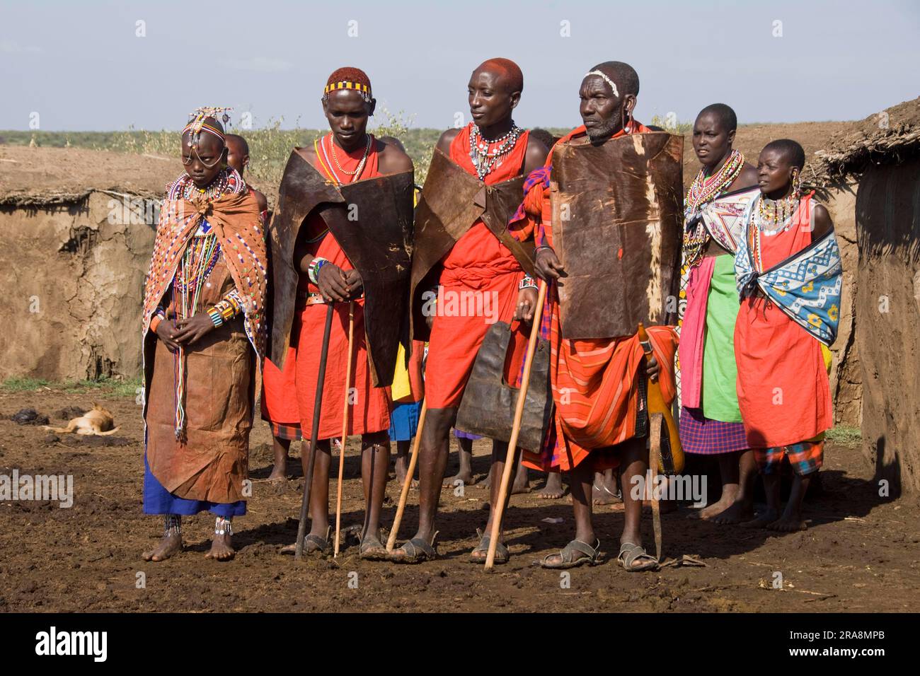 Maasai, traditionelle Vorstellung der Braut, Maasai Mara, Kenia Stockfoto