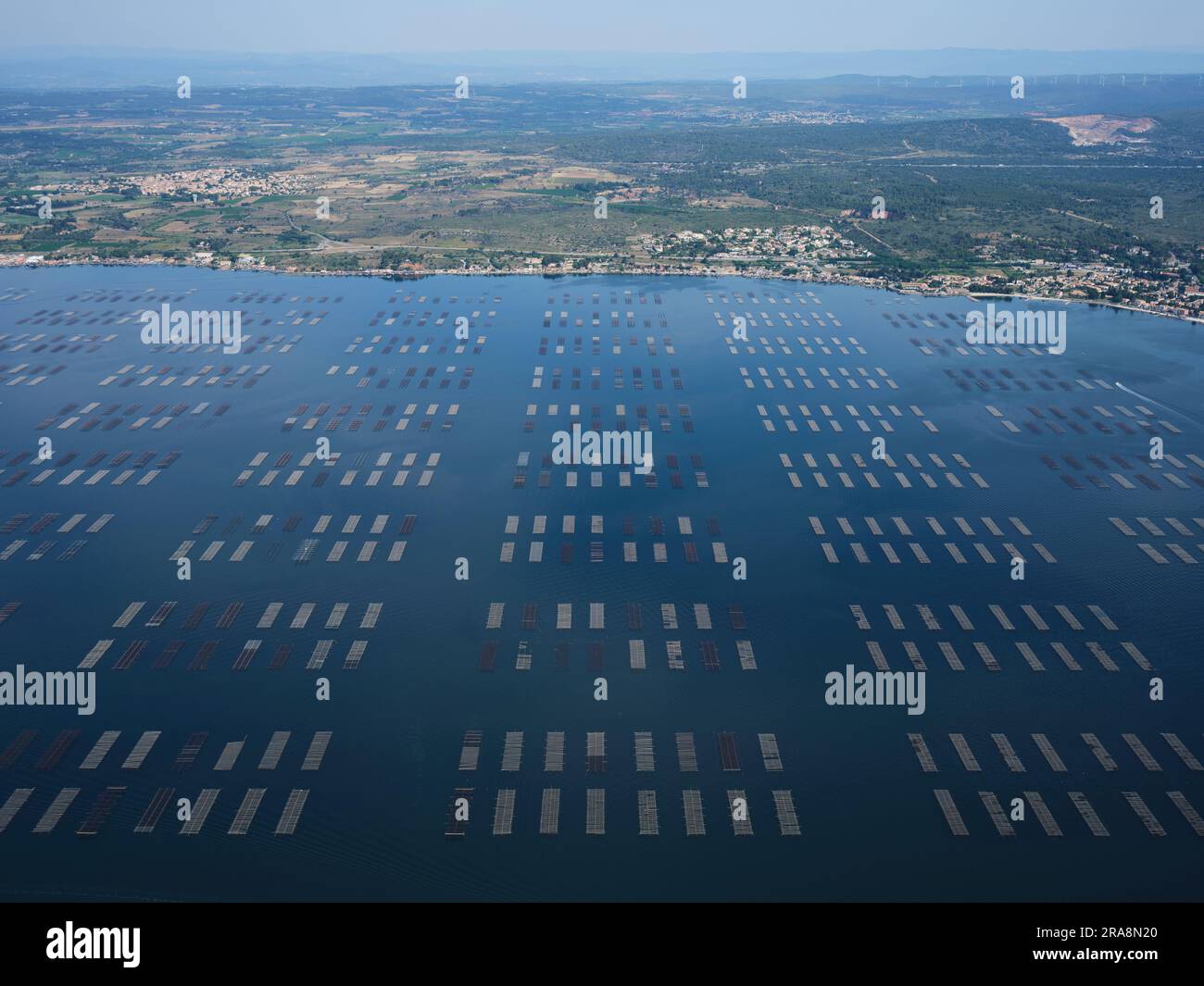 LUFTAUFNAHME. Große Infrastruktur für die Austernzucht am Etang de Thau (Thau-Teich). Bouzigues, Hérault, Occitanie, Frankreich. Stockfoto