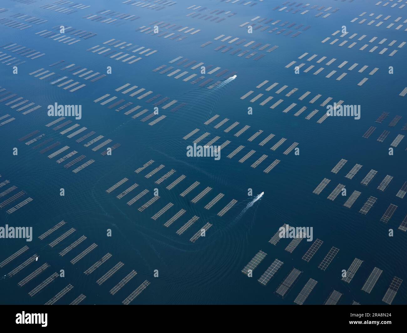 LUFTAUFNAHME. Große Infrastruktur für die Austernzucht am Etang de Thau (Thau-Teich). Bouzigues, Hérault, Occitanie, Frankreich. Stockfoto