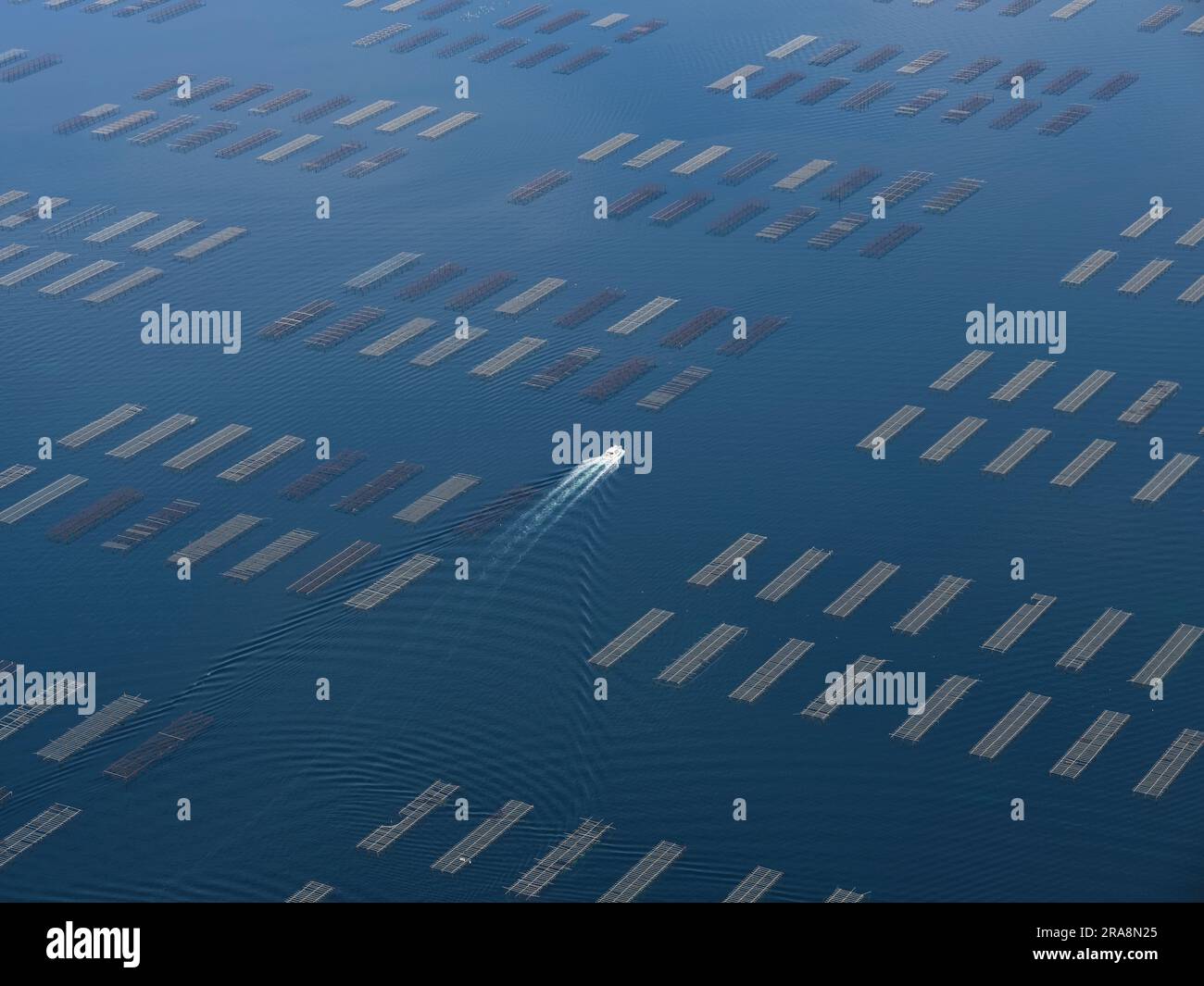 LUFTAUFNAHME. Große Infrastruktur für die Austernzucht am Etang de Thau (Thau-Teich). Bouzigues, Hérault, Occitanie, Frankreich. Stockfoto