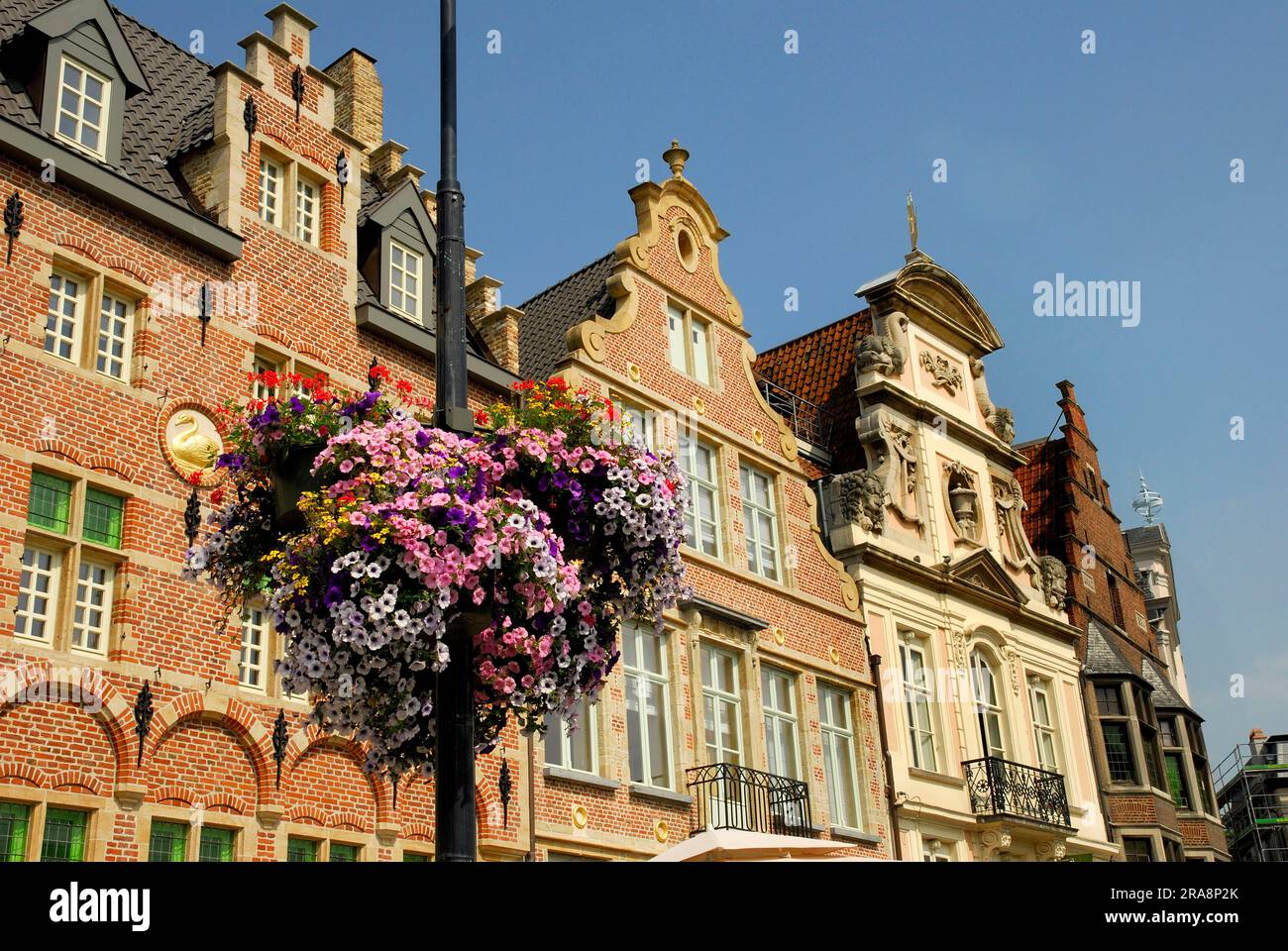 Petunien auf Laternenpfahl, guildhall, Guildhalls, Gent, Belgien Stockfoto