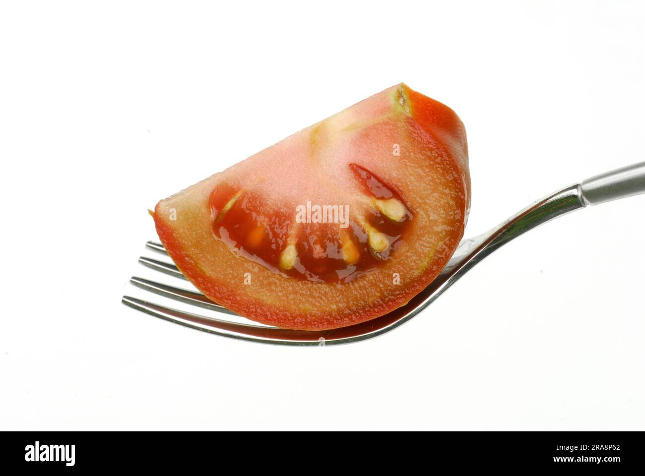 Tomate (Solanum lycopersicum) Kumato auf der Gabel Stockfoto