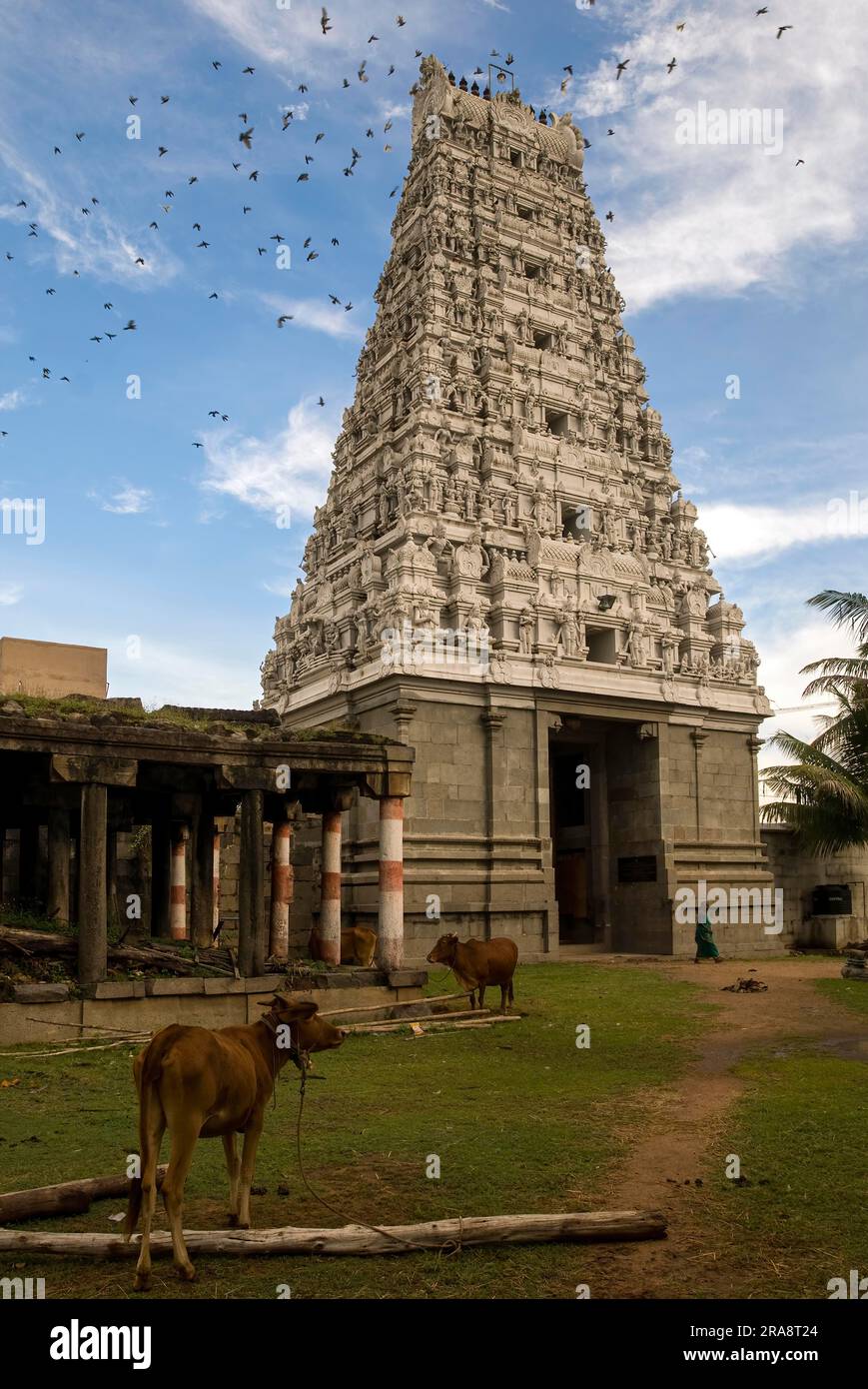 Sundaravarada Perumal Vishnu Tempel in Uthiramerur nahe Kancheepuram, Tamil Nadu, Südindien, Indien, Asien. Dieser Tempel ist etwa 1200 Jahre alt und Stockfoto