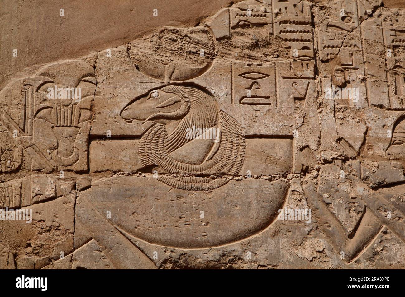 Relief an der Wand des Karnak Tempels, Karnak, Luxor, Karnak Tempels, Al-Karnak, Ägypten Stockfoto