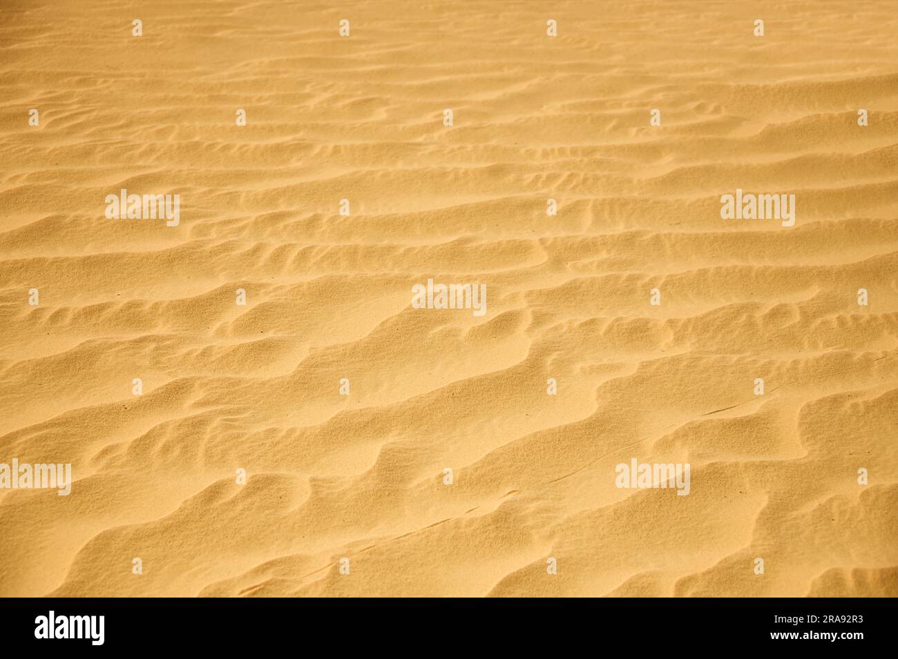 Detailansicht des Sandes in der Wüste oder am Strand, als Hintergrund zu verwenden Stockfoto