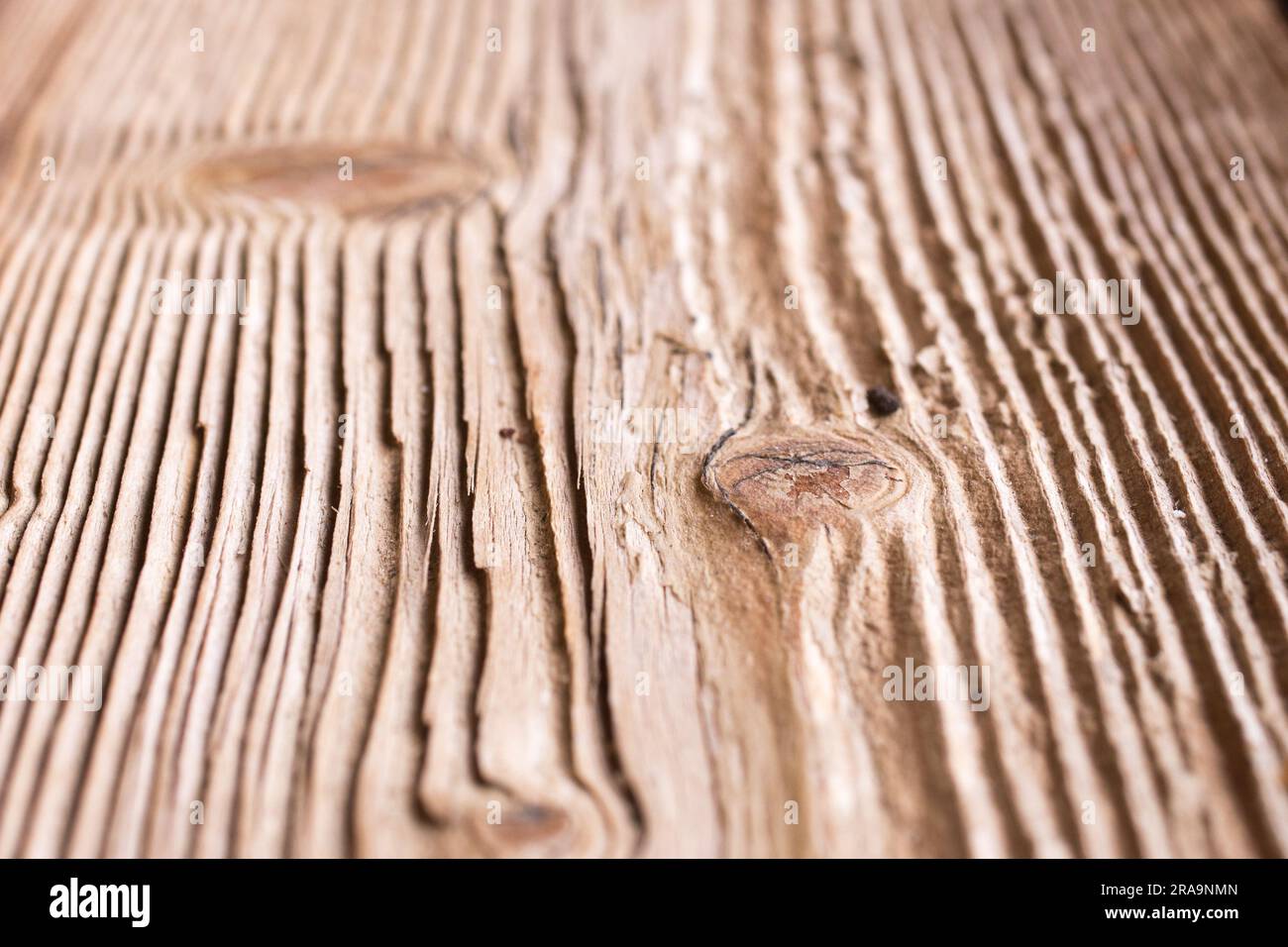 Alte gebürstete Holzplatte aus altem Holz, Details von Knoten Stockfoto