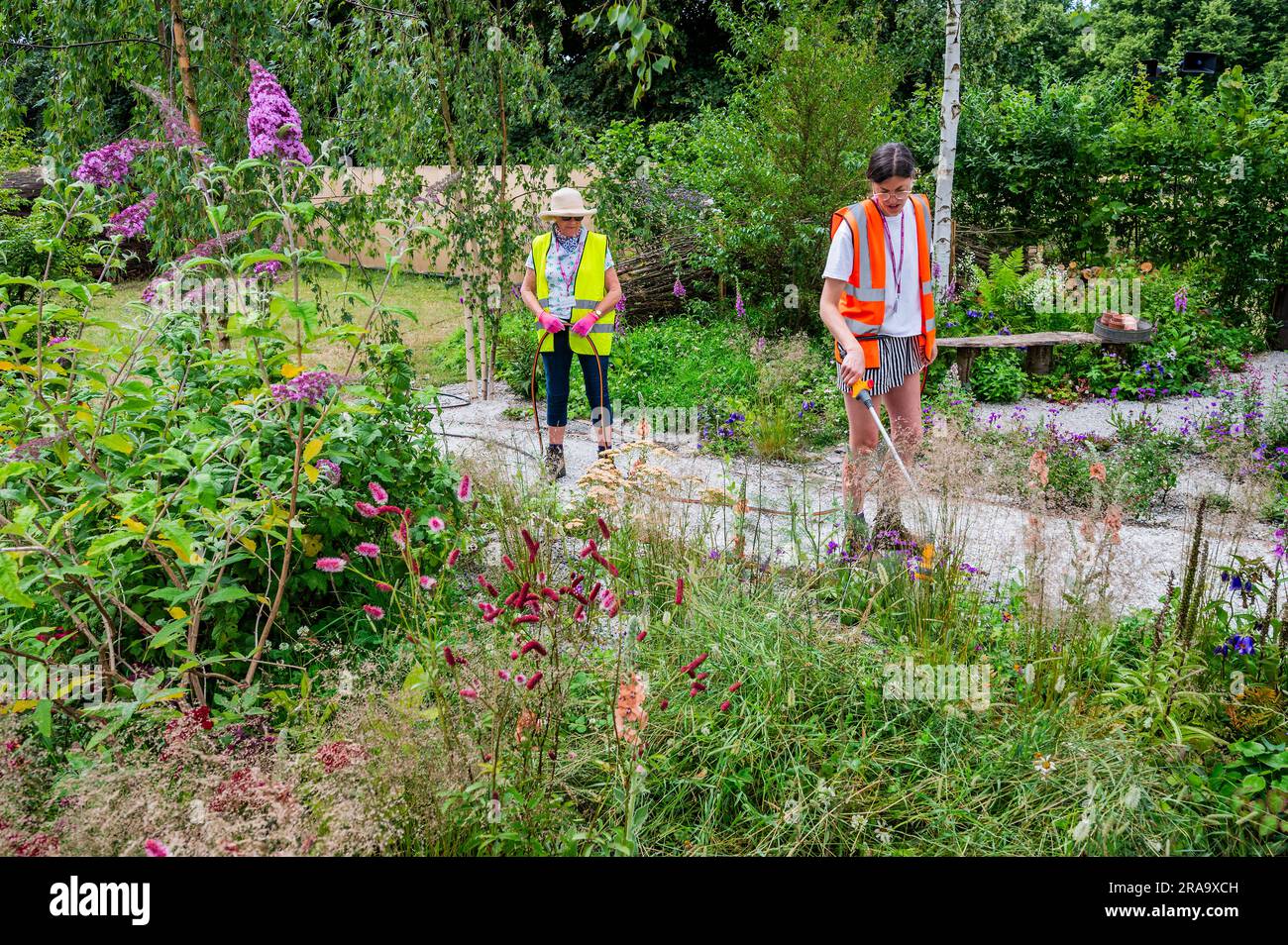 London, Großbritannien. 2. Juli 2023. RHS Wildlife Garden, Feature Garden, entworfen von Jo Thompson - The RHS Hampton Court Palace Garden Festival 2023. Sie läuft ab dem 4-9. Juli. Kredit: Guy Bell/Alamy Live News Stockfoto