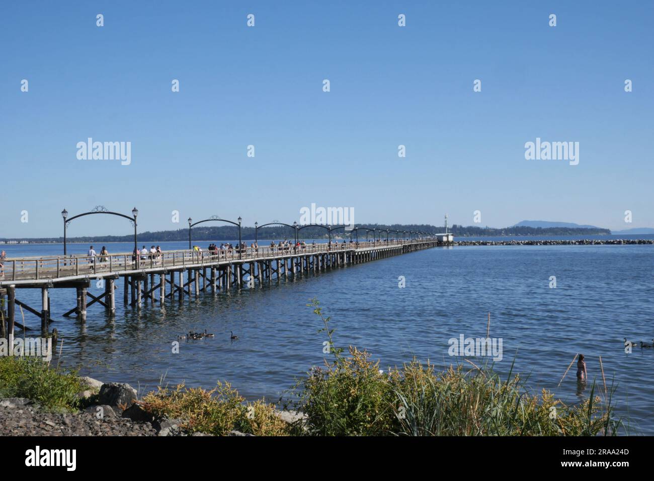 White Rock Pier im Sommer in White Rock, British Columbia, Kanada Stockfoto