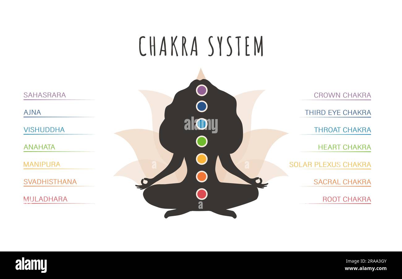Farbenfrohes 7-Chakras-System. Weibliche Silhouette meditiert und verbindet ihre Chakren. Infografik mit Energiezentren. Ayurveda, Buddhismus und Stock Vektor
