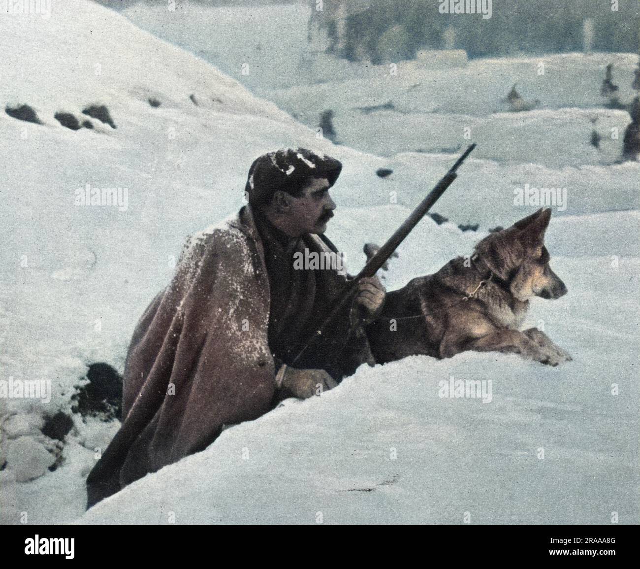 Ein französischer Soldat blickt über einen Schlitzgraben, während sein deutscher Schäferhund ebenfalls wachsam ist. Der Hund ist bereit, beim ersten verdächtigen Anzeichen eines Angriffs zu knurren. Datum: 1916 Stockfoto