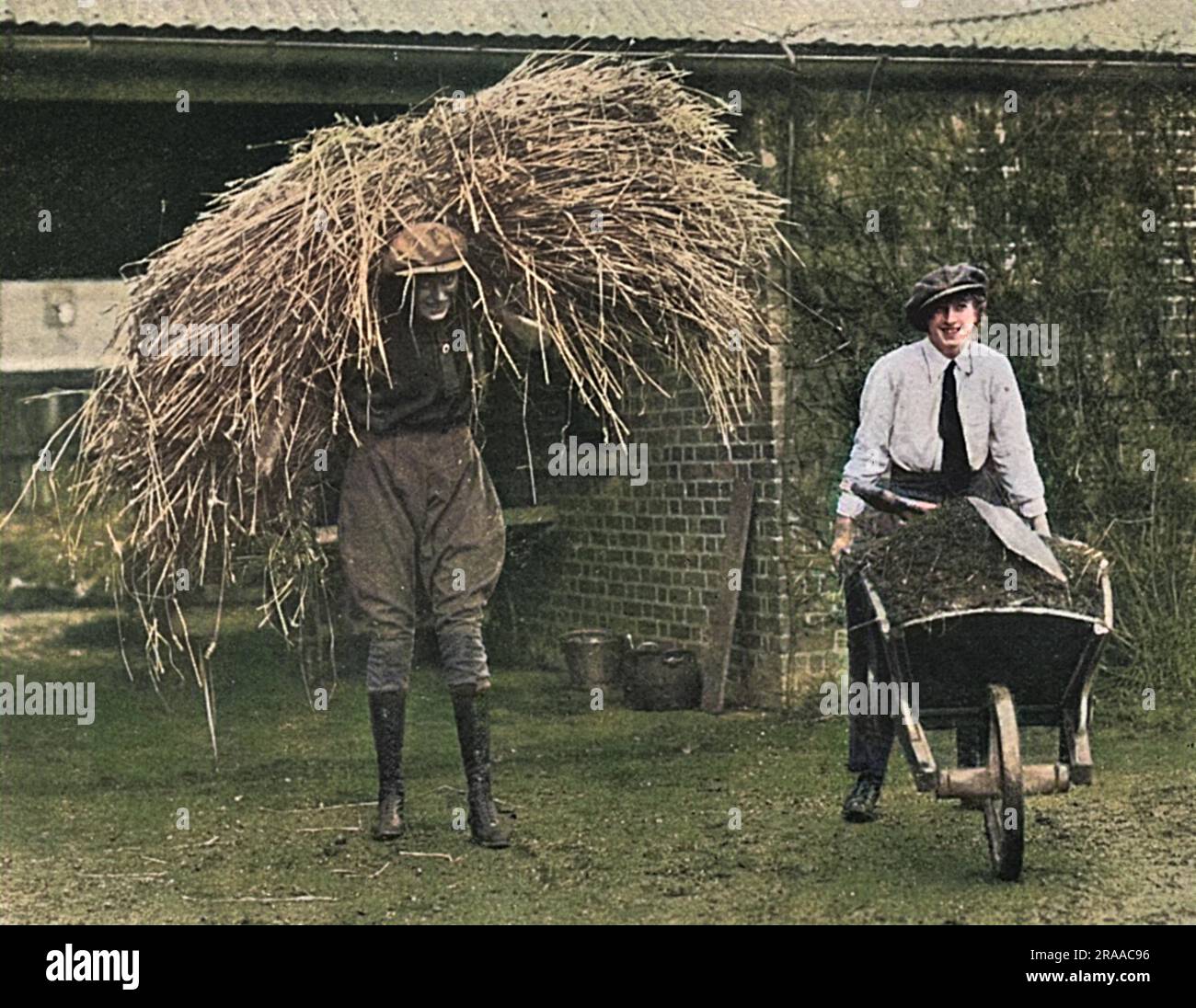 Die Plätze der Soldaten wurden von Damen vom Jagdplatz eines Army Remount Depots eingenommen. Zwei Mädchen hier haben gezeigt, wie sie die Ställe ausrotten. Datum: 1916 Stockfoto