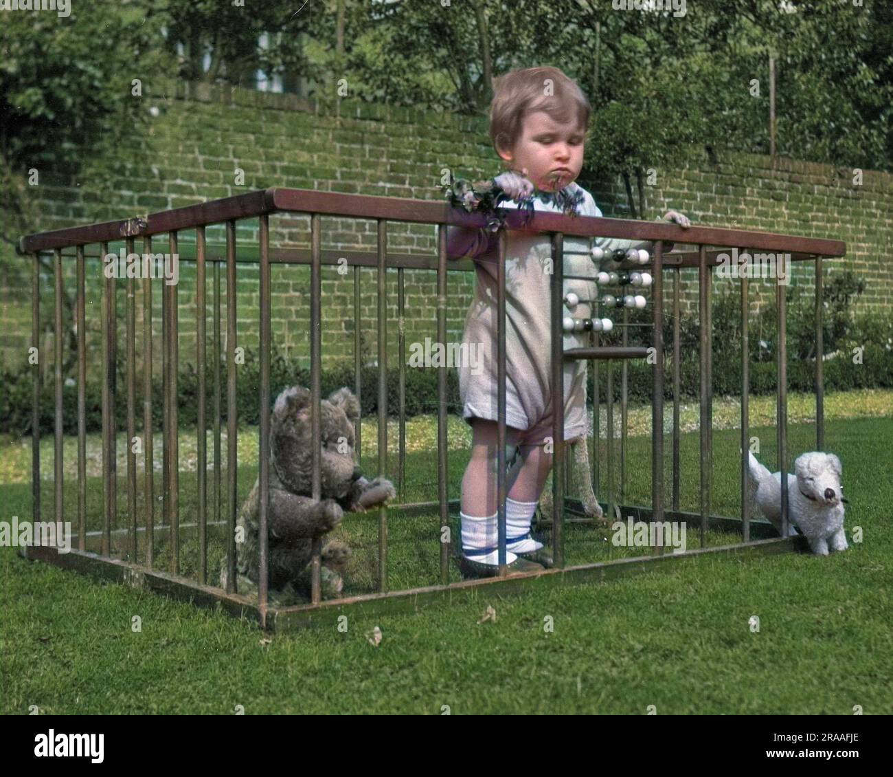 Ein Kind, das in einem Laufstall in einem Garten steht, mit seinem Teddybär und seinem Spielzeughund zur Gesellschaft und einigen Zählperlen zum Spielen. Datum: Ca. 1920er Stockfoto
