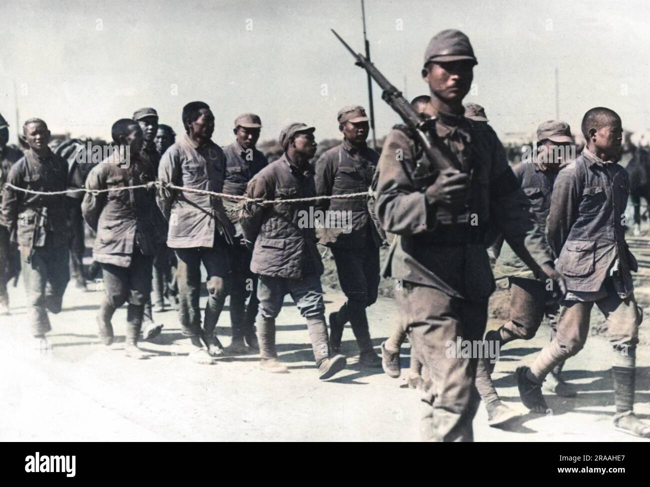 Chinesische Gefangene, die mit Seilen verbunden sind, werden während der Schlacht von Shanghai von ihren japanischen Entführern weggeführt. Datum: November 37 Stockfoto