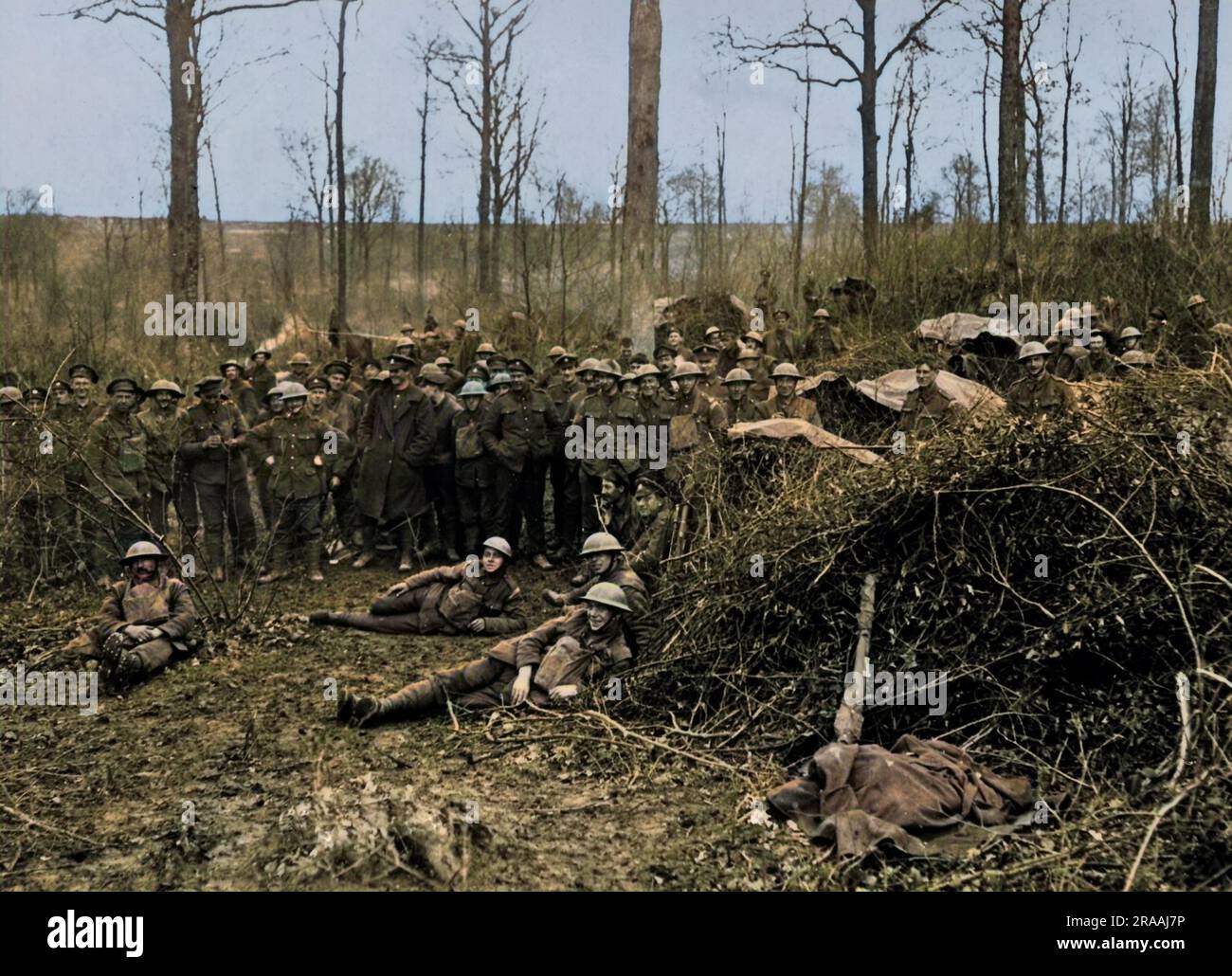 Britische Truppen eines Londoner Territorialregiments, die während des Ersten Weltkriegs in einem Wald an der Westfront in Frankreich gelagert wurden. Datum: Ca. 1916 Stockfoto