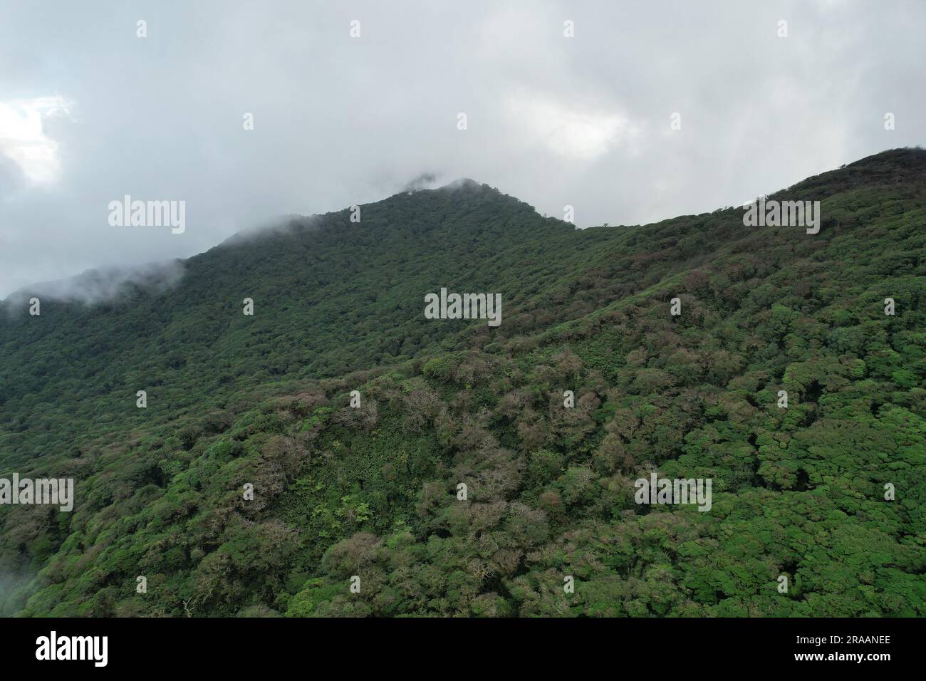 Vulkan Mombacho Grüne Landschaft Hintergrund Dröhnensicht aus der Vogelperspektive Stockfoto