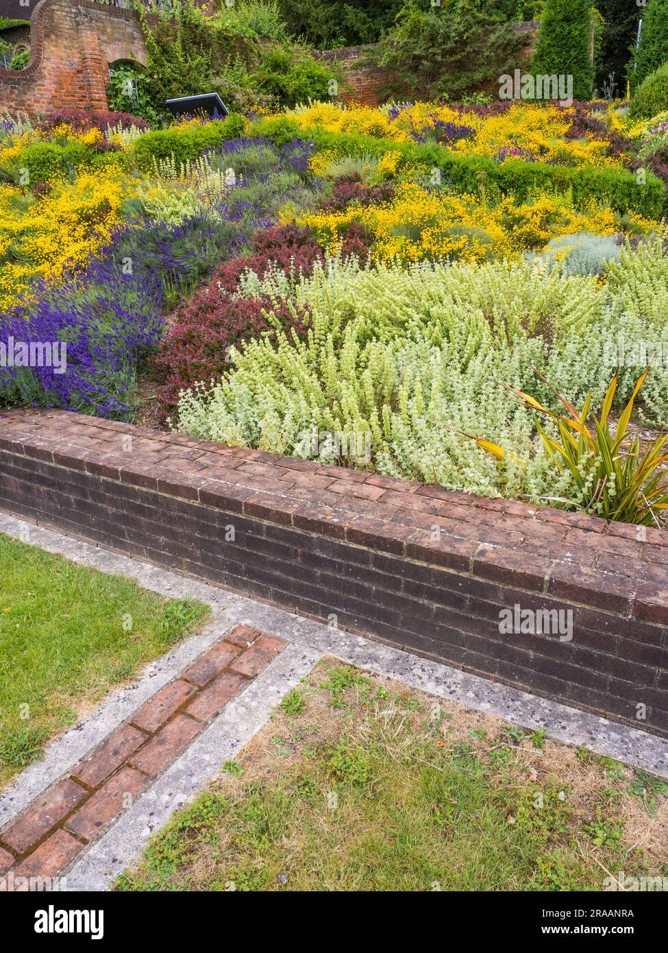 Blumenbetten, Historic Caversham Court, Reading Council Gardens, Caversham, Reading, Berkshire, England, Großbritannien, GB. Stockfoto