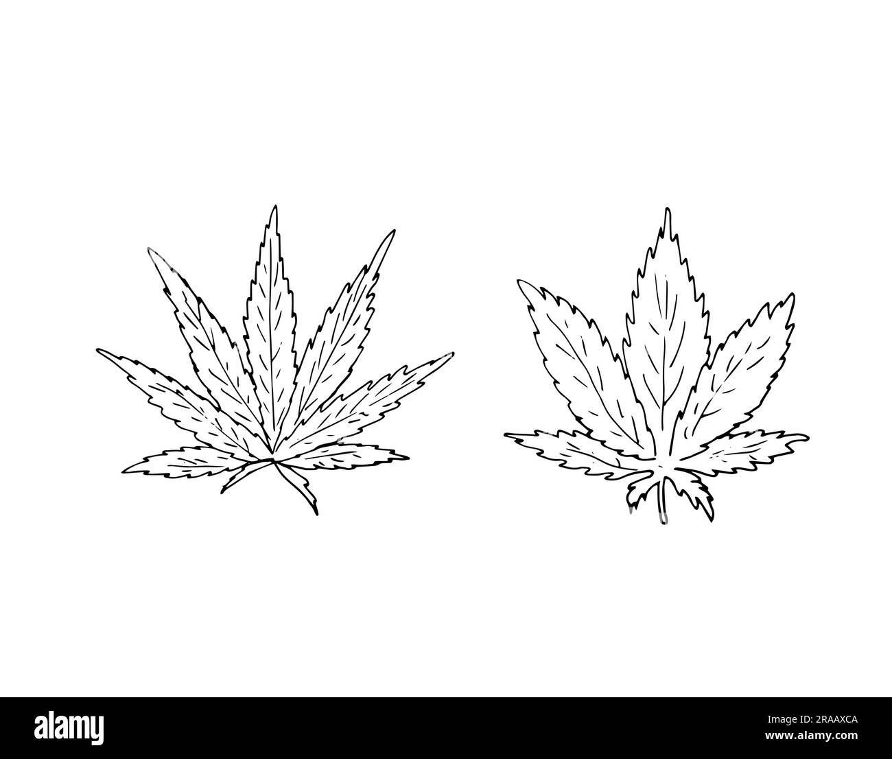 Handgezogene Cannabisblätter Stock Vektor