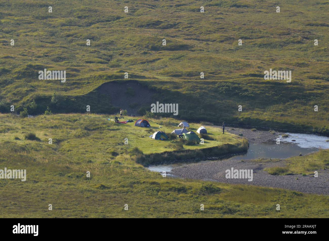 Wilde Camper in der Nähe der Bridge of Orchy in den schottischen Highlands von Schottland, Großbritannien Stockfoto