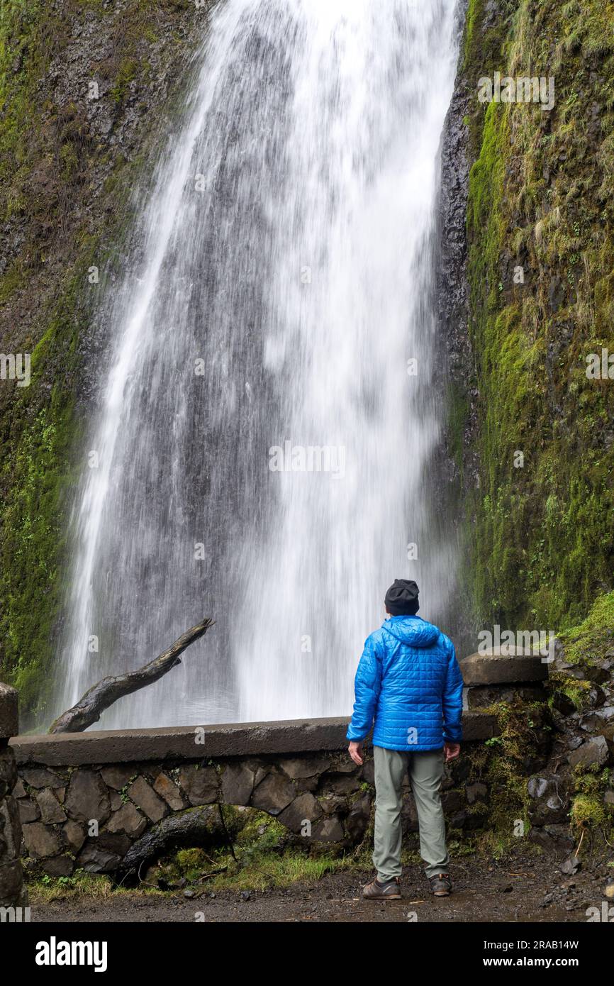 Allein stehender männlicher Mann mit Hund erkundet die Wahkeena Falls. Columbia River Gorge. Oregon Stockfoto