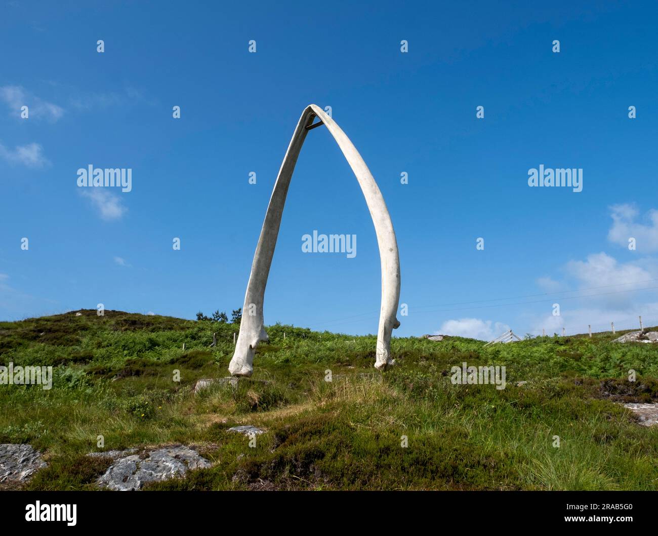 Walknochen-Wahrzeichen mit Blick auf den Fährhafen Arinagour, Isle of Coll, innere Hebriden, Schottland. Stockfoto