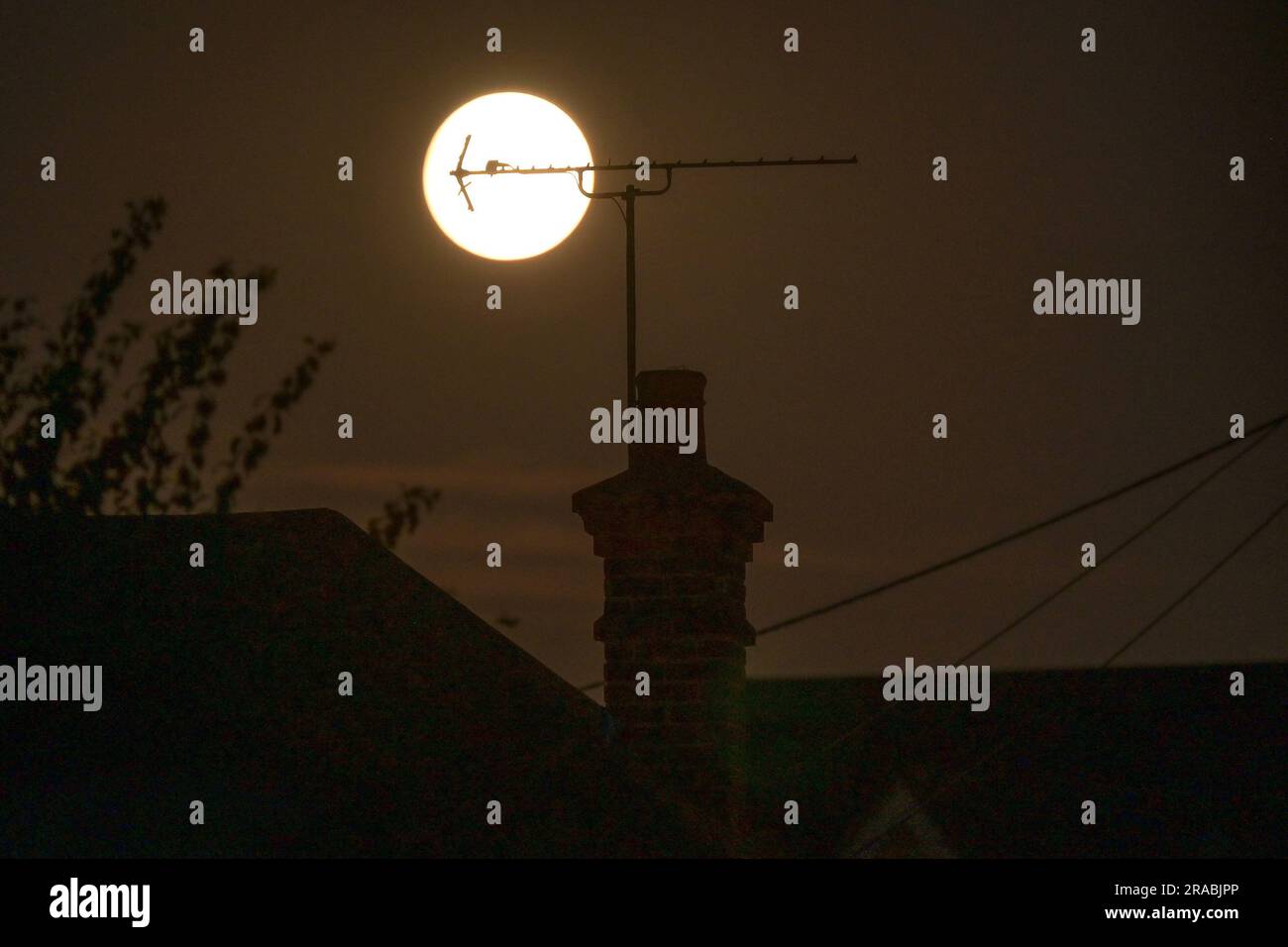 Essex, Großbritannien. 2. Juli 2023. Der erste Supermond von 2023, der unter dem Spitznamen Buck Moon bekannt ist, erhebt sich über Großbritannien. Der Buck Moon wird genannt, weil der Vollmond im Juli Buck Moon genannt wird, weil die Geweihe männlicher Hirsche (Buck Moon) sich zu dieser Zeit im Vollwuchsmodus befinden. Die Bucks vergossen und wachsen jedes Jahr ihr Geweih nach, wodurch im Laufe der Jahre ein größeres und beeindruckenderes Set entsteht. Kredit: MARTIN DALTON/Alamy Live News Stockfoto