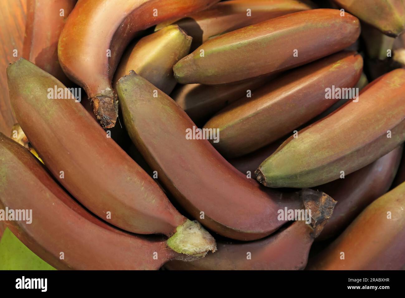 Köstliche lila Bananen im Hintergrund, Blick von oben Stockfoto