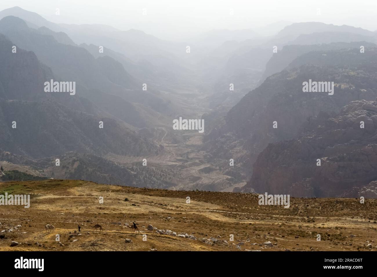 Wunderschöne Sonnenuntergangslandschaft am King's Highway in Jordanien irgendwo zwischen der archäologischen Stätte Petra und dem Toten Meer. Stockfoto