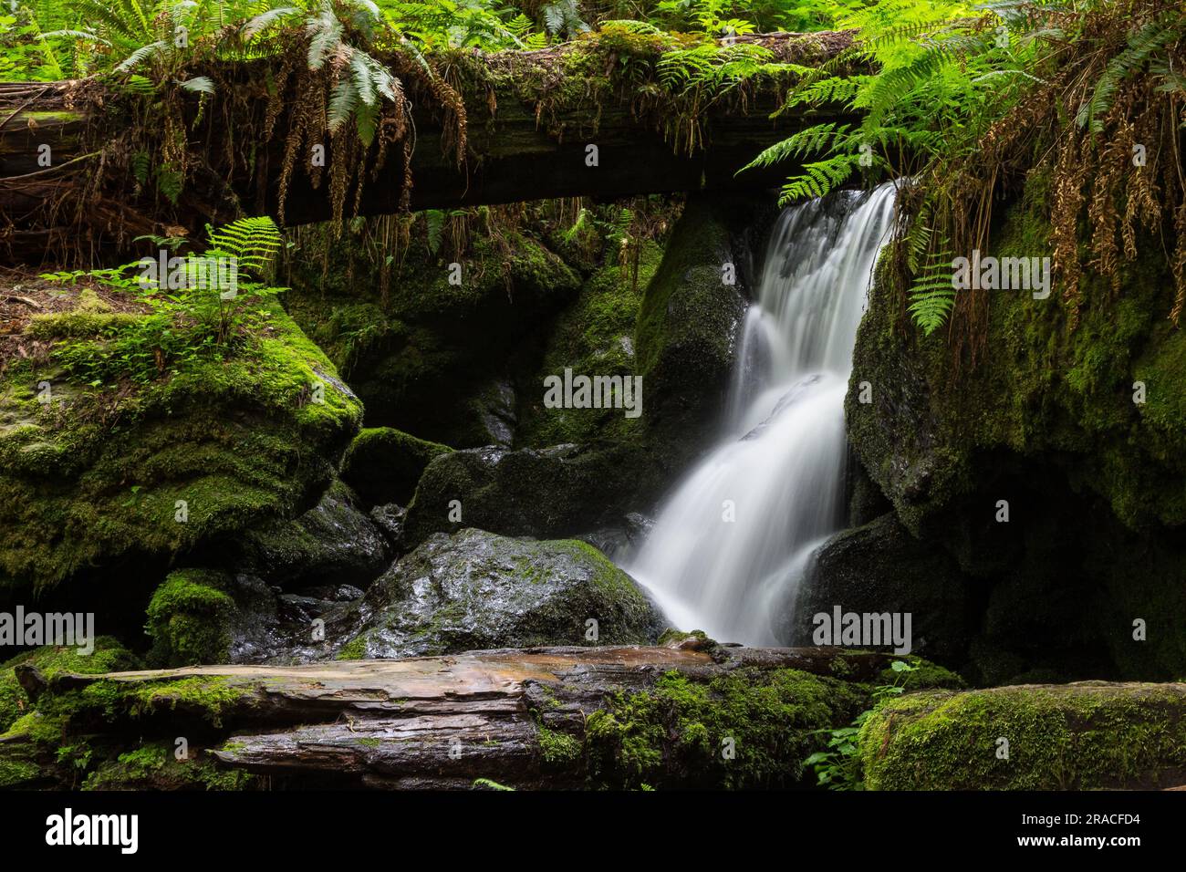 Beruhigender Hintergrund Für Wasserfall-Hintergrundbilder Stockfoto