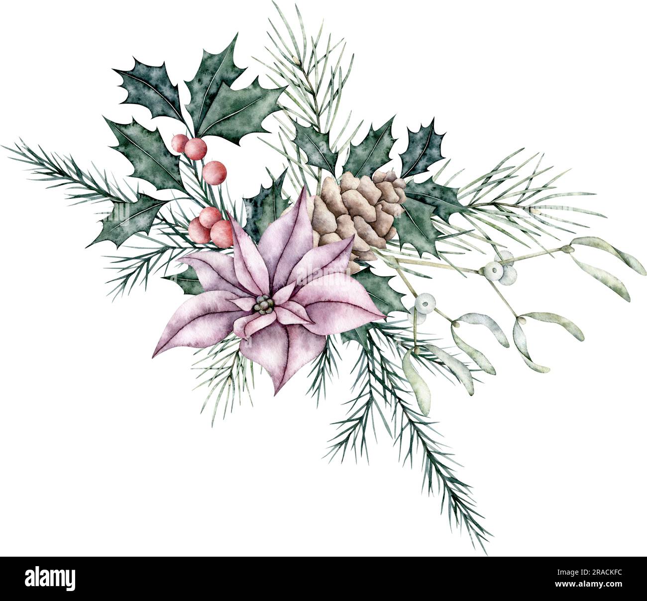 Weihnachtsstrauß aus roter Poinsettia-Blume, Mistelzweig oder Viscum, Kiefernzapfen, Ileex, heiliger Zweig mit Beeren und smaragdgrünen Fichtenzweig, immergrüner Baum Stockfoto