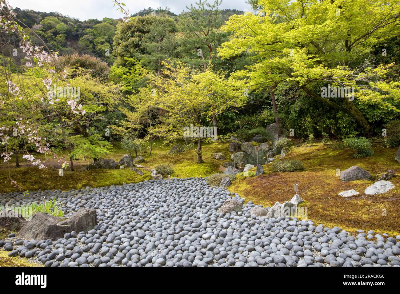 2023 Hogon-in Sub Temple Zen Garden, trockener Teich, der das Meer des Leidens des menschlichen Lebens repräsentiert, Arashiyama, Kyoto, Japan, Löwen brüllen Garten Stockfoto 2023 Hogon-in Sub Temple Zen Garden, trockener Teich, der das Meer des Leidens des menschlichen Lebens repräsentiert, Arashiyama, Kyoto, Japan, Löwen brüllen Garten Stockfoto