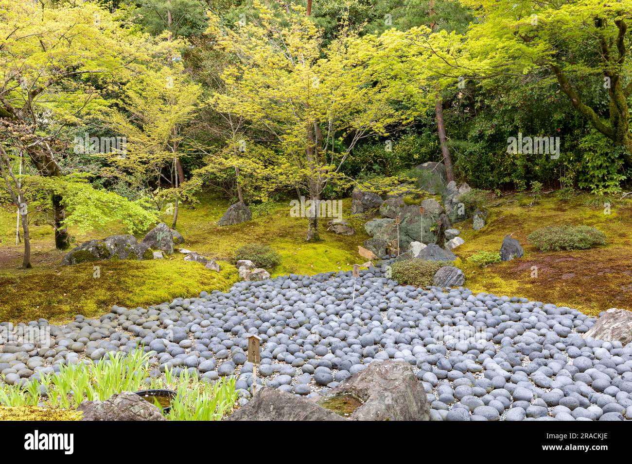 2023 Hogon-in Sub Temple Zen Garden, trockener Teich, der das Meer des Leidens des menschlichen Lebens repräsentiert, Arashiyama, Kyoto, Japan, Löwen brüllen Garten Stockfoto 2023 Hogon-in Sub Temple Zen Garden, trockener Teich, der das Meer des Leidens des menschlichen Lebens repräsentiert, Arashiyama, Kyoto, Japan, Löwen brüllen Garten Stockfoto