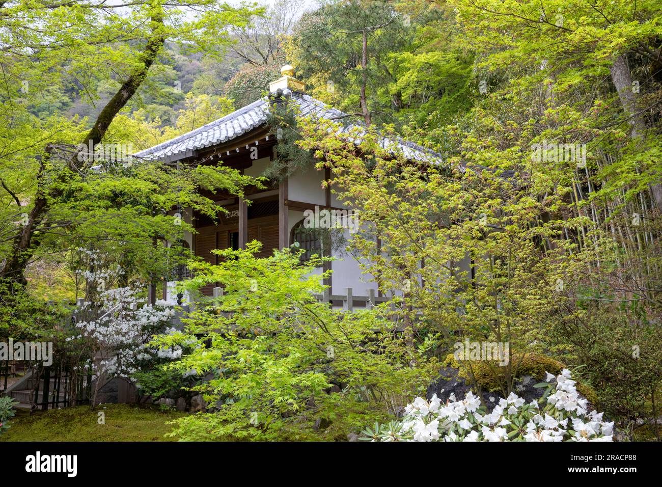 2023 Hall of Boundless Light ist ein Kolumbarium, in dem die Asche verstorbener Gläubiger verewigt wird. Hogon-in-Tempel. Arashiyama Kyoto, Japan Stockfoto