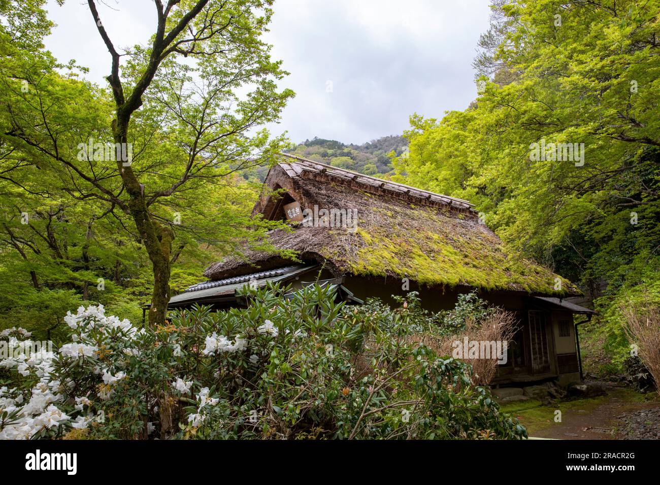 Hogon-in-Tempelgärten Kyoto, moosbedecktes Dach eines kleinen Gebäudes in den Gärten, Tenryu-ji-ji-Kopftempel, Kyoto, Japan, Asien, 2023 Stockfoto