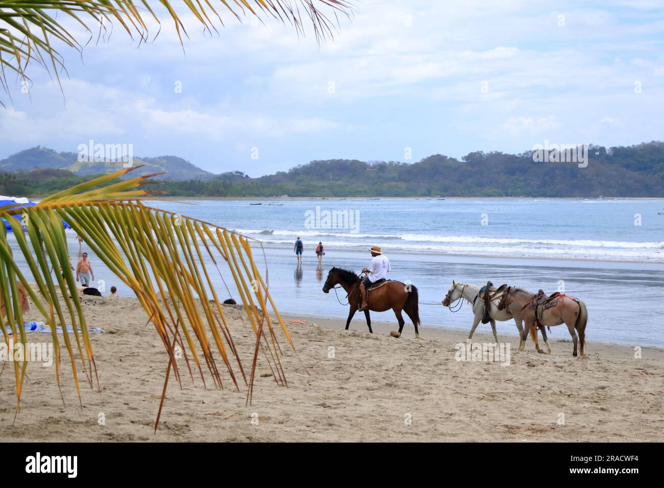 März 14 2023 - Samara, Guanacaste in Costa Rica: Reiten in Costa Rica am Strand Stockfoto