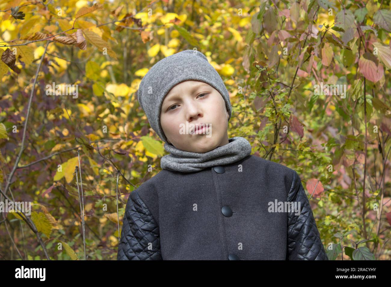 Trauriger Junge im Herbstwald auf gelbem Laubhintergrund Stockfoto