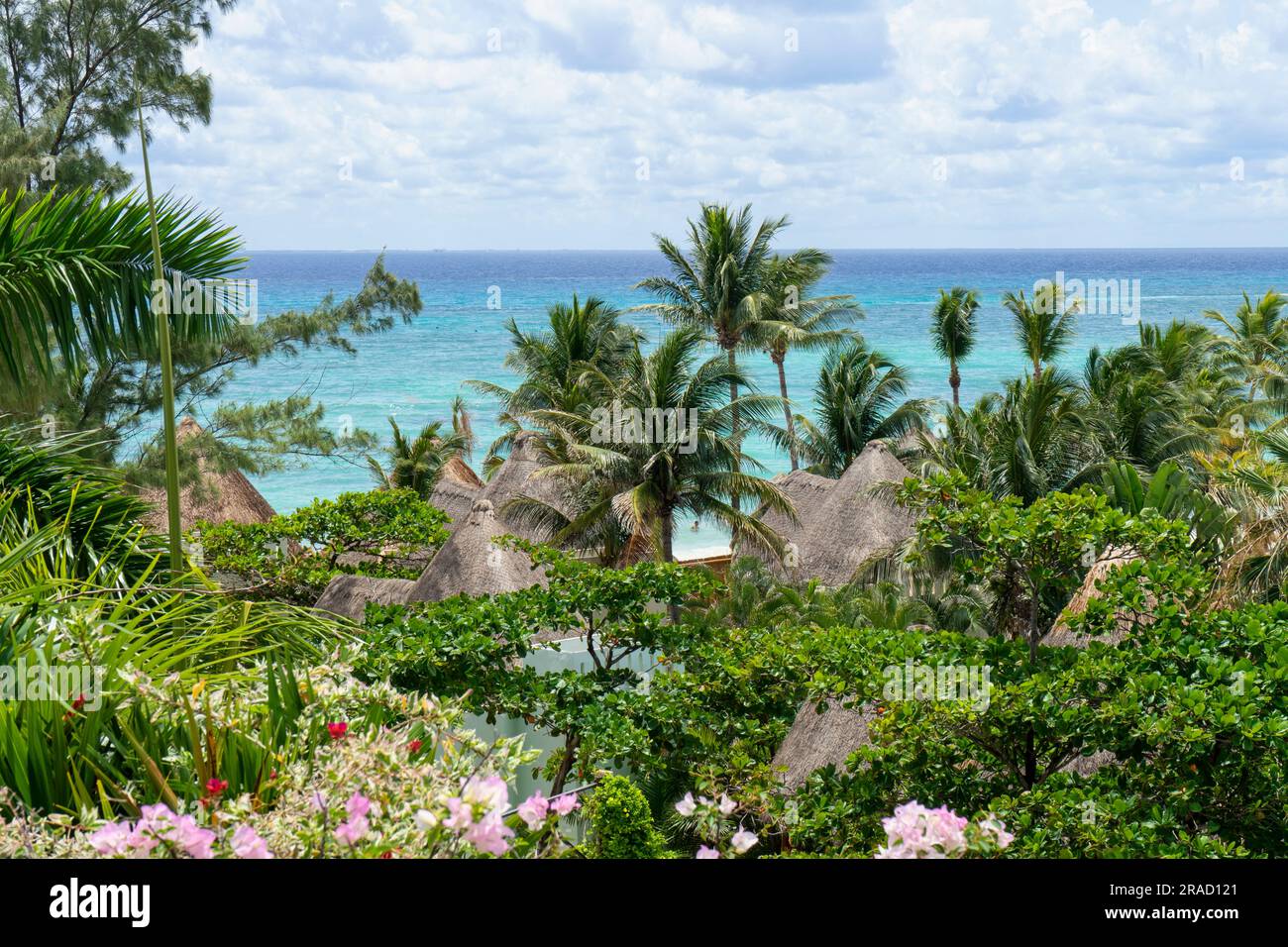 Luftaufnahme einer Landschaft mit tropischen Pflanzen und Blumen zum Meer, im Hintergrund das Mar de Caribbean in Mexiko Stockfoto