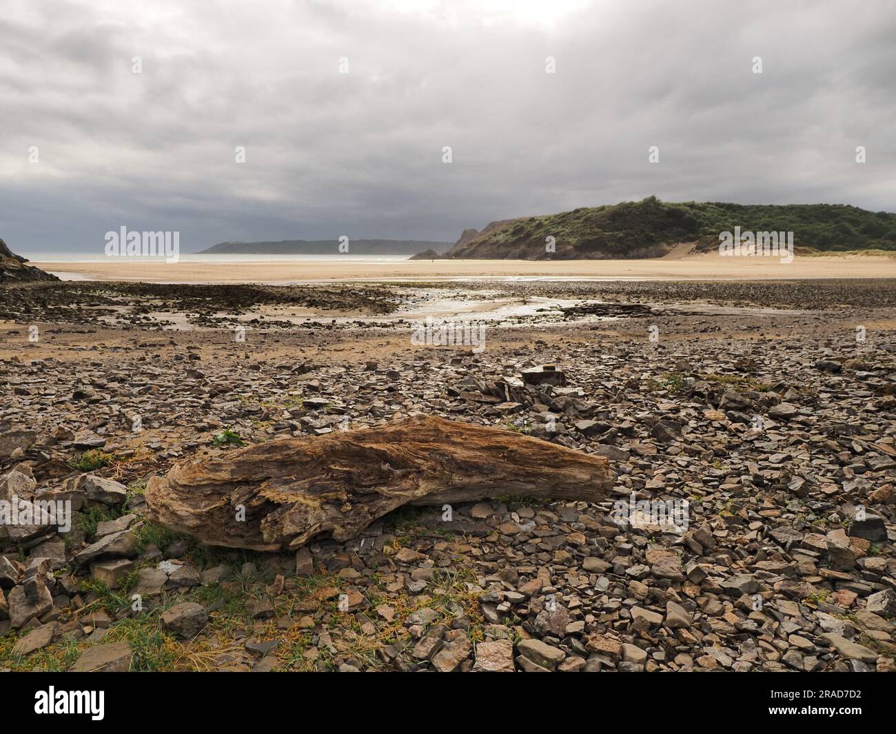 Driftwood am Strand in Pobbles Bay, Gower Peninsula, Wales Stockfoto