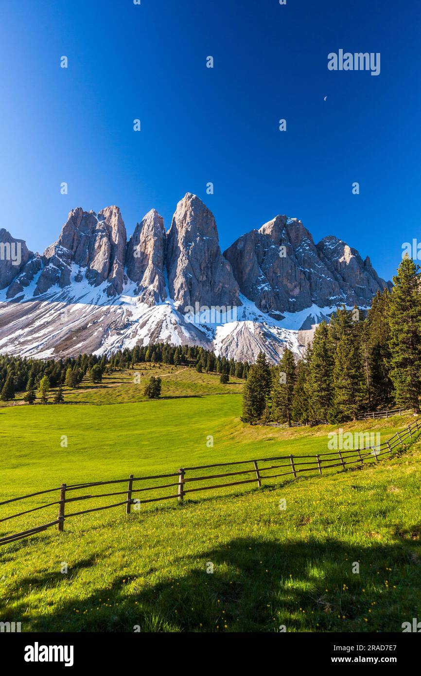 Odelgipfel und grüne Wiesen im Frühling, Dolomiten, Südtirol Stockfoto